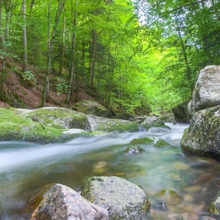 400Qm Bayerische Villa 2500Qm Uneinsehbarer Garten In Beliebter Urlaubsregion Freyung Εξωτερικό φωτογραφία